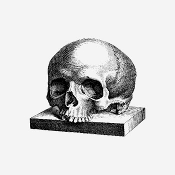 Halloween human skull hand drawn | Free Photo - rawpixel