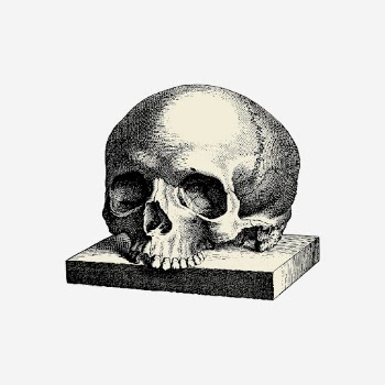 Halloween human skull hand drawn | Free Photo - rawpixel