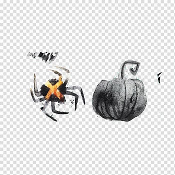 Halloween Jack-o'-lantern Calavera Euclidean , Creative Halloween spider transparent background PNG clipart