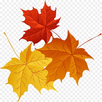 Halloween Jack-o'-lantern Computer Icons Clip art - autumn leaves 