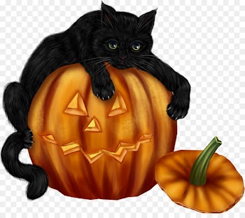 Halloween Jack-o'-lantern Whiskers Clip art Black cat - halloween candy cartoon 