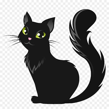 Halloween Jack-o-lantern - Witch Cat 