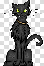 Halloween Kitty transparent background PNG clipart