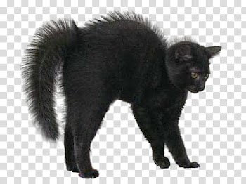 Halloween Mega, black cat illustration transparent background PNG clipart