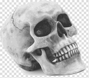 Halloween Mega, gray skull illustration transparent background PNG clipart