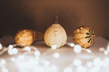 Halloween mini pumpkins