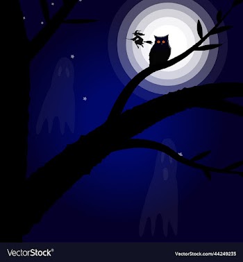 halloween night