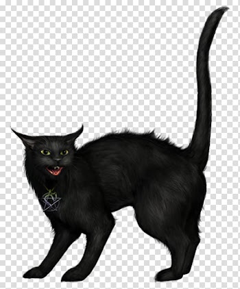 HALLOWEEN O, black cat illustration transparent background PNG clipart