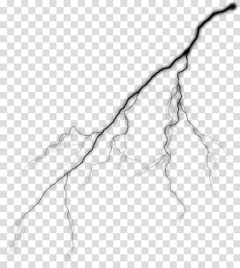 HALLOWEEN O, root illustration transparent background PNG clipart