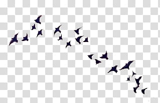 HALLOWEEN O, silhouette of birds transparent background PNG clipart