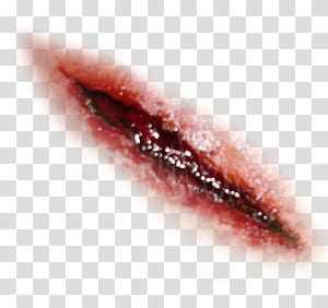 HALLOWEEN O transparent background PNG clipart