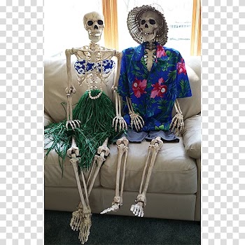 Halloween Party Skeleton Bonfire Holiday, Halloween transparent background PNG clipart