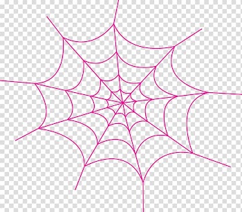 Halloween Party Spider , Halloween transparent background PNG clipart
