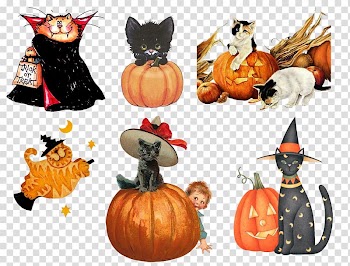 Halloween Pumpkin Thanksgiving , Halloween transparent background PNG clipart