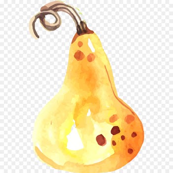 Halloween Pumpkins Halloween Pumpkins Vector graphics Image - decorative squashes 