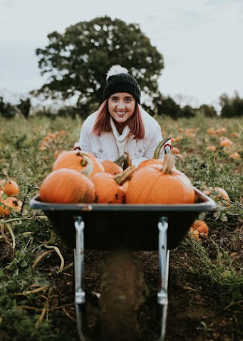 Halloween pumpkins in a wheelbarrow dark autumn mood