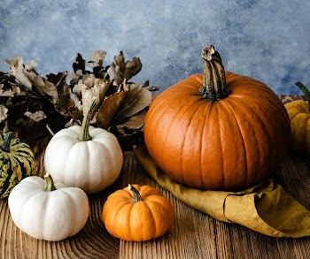 Halloween pumpkins Jack o&rsquo; Lantern decoration