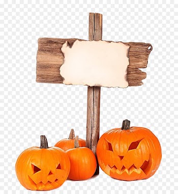 Halloween Pumpkins - Line Match 3 Photography Jack-o-lantern - Halloween pumpkins 