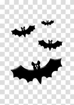 Halloween s, black bats transparent background PNG clipart
