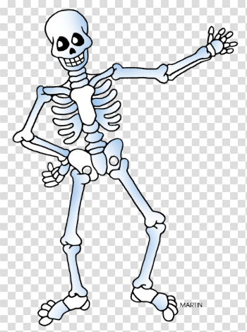 Halloween Skeleton PNG Download Image