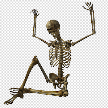 Halloween Skeleton PNG High-Quality Image