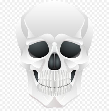 Halloween Skull Clip art - Halloween Skull PNG Clip Art 