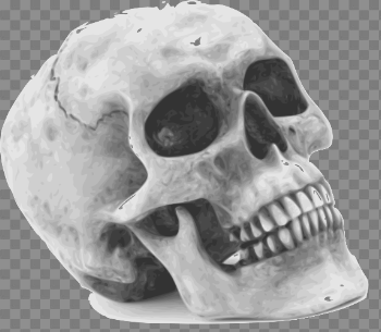Halloween Skull Free PNG Image