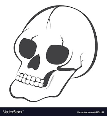 halloween skull line art