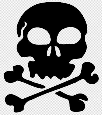 Halloween Skull Transparent Background PNG