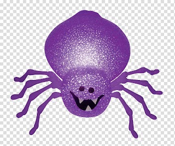 Halloween spider transparent background PNG clipart