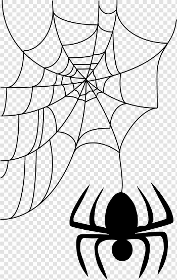 Halloween Spider Web PNG Image Background