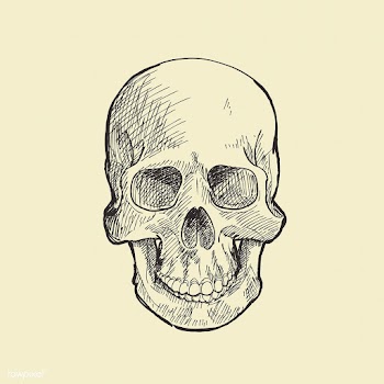 Halloween theme illustration | Free stock vector - 381798