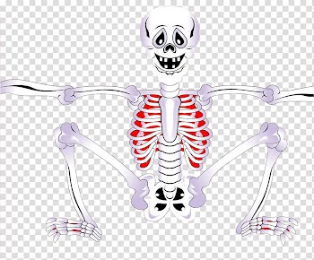 Halloween transparent background PNG clipart