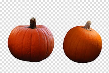 Halloween, two orange pumpkins transparent background PNG clipart