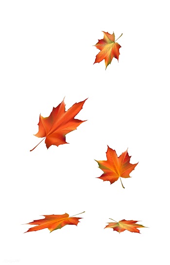 Halloween  vector set | Free stock vector - 83312