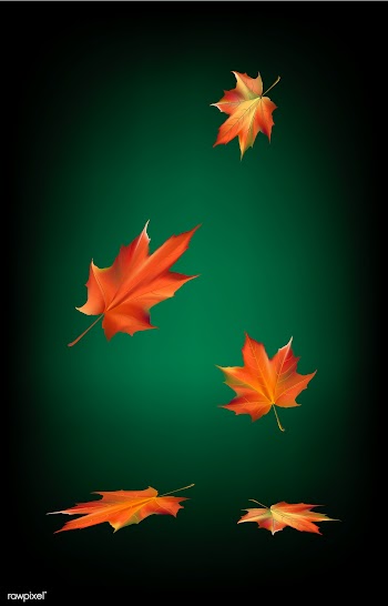 Halloween  vector set | Free stock vector - 83331