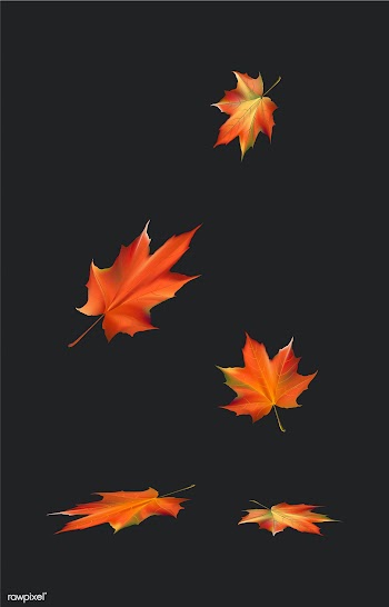 Halloween  vector set | Free stock vector - 83348