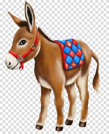 Halloween , Watercolor donkey transparent background PNG clipart