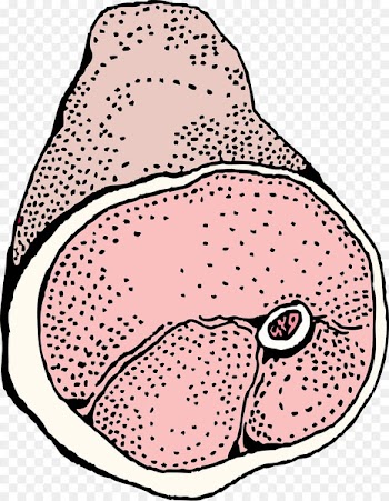 Ham Clip art Bacon Openclipart Pork - ham 