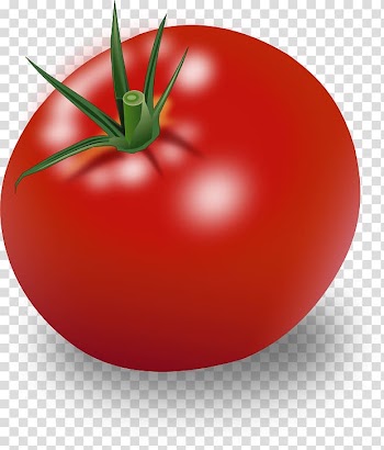 Hamburger Cherry tomato Ripening Vegetable , vegetable transparent background PNG clipart
