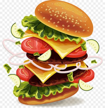 Hamburger Hot dog Soft drink Fast food French fries - Vector painted Burger King 
