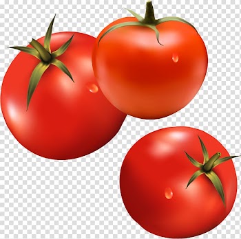 Hamburger Tomato Vegetable Ketchup, Tomatoes Vegetable material transparent background PNG clipart