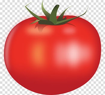 Hamburger Vegetable , vegetable transparent background PNG clipart
