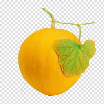 Hami melon Honeydew Seed Carbohydrate, Muskmelon transparent background PNG clipart