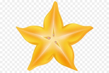 Hammer and sickle Soviet Union Red star Communist symbolism - Carambola Star Fruit PNG Clip Art 
