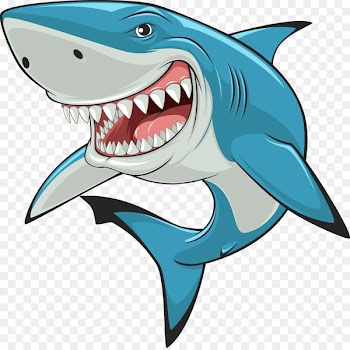 Hammerhead shark Great white shark Clip art - Vector Shark 