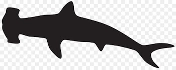 Hammerhead shark Silhouette Scalloped hammerhead Clip art - sharks 