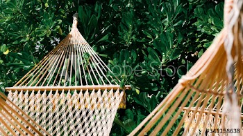 Hammock by the beach