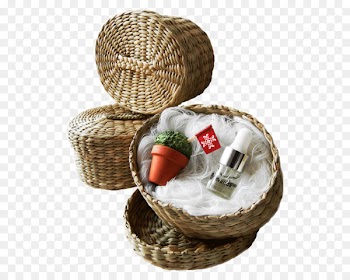Hamper Food Gift Baskets Ocimum minimum Ceramic - manjerico pictogram 