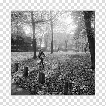 Hampstead Heath Pond Square , Pond ROCKS transparent background PNG clipart